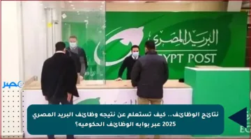 نتائج الوظائف.. كيف تستعلم عن نتيجة وظائف البريد المصري 2025 عبر بوابة الوظائف الحكومية؟